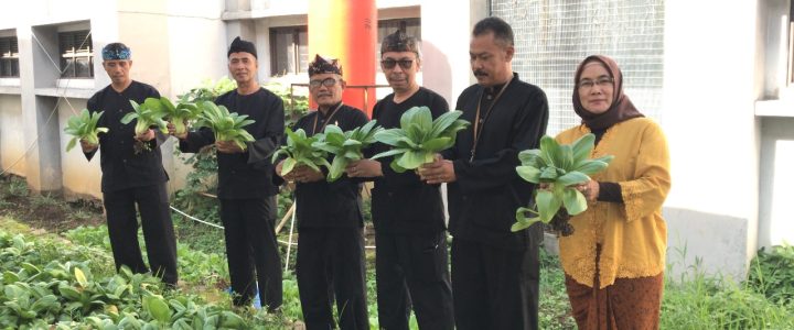 Sukses Panen Sayur di LPKA Bandung: Kangkung, Pakcoy, dan Sosin Menghijau
